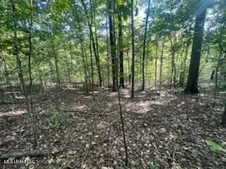 11402 Sequoyah Dr, Hernando, MS 38632 photo 2