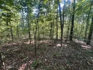 11402 Sequoyah Dr, Hernando, MS 38632