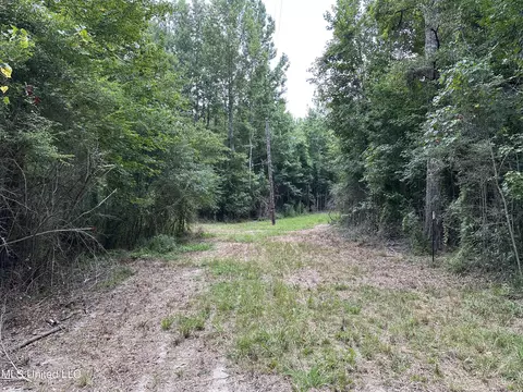 Stoval Ln, Summit, MS 39666 photo 4