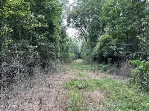 Stoval Ln, Summit, MS 39666 photo 3