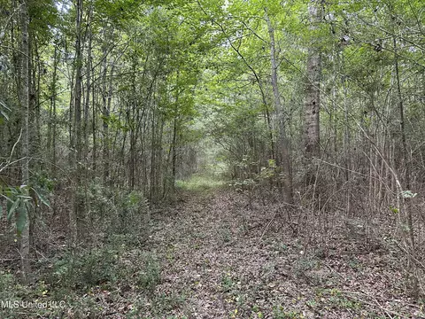 Stoval Ln, Summit, MS 39666 photo 5