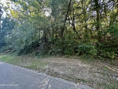 0 Vernon Rd, Clinton, MS 39056 photo 3