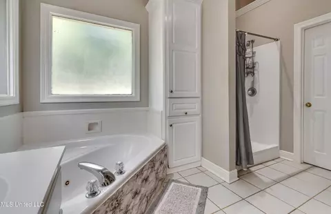 Bath - 420 Fairfield Dr, Madison, MS 39110 photo 5 of 8