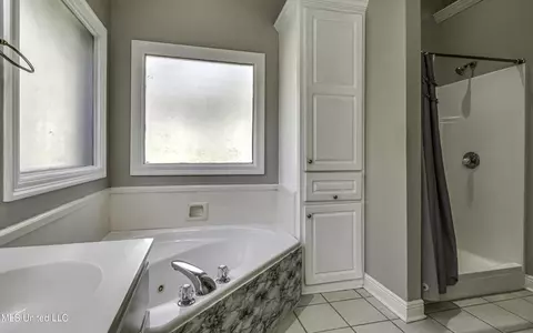 Bath - 420 Fairfield Dr, Madison, MS 39110 photo 2 of 8
