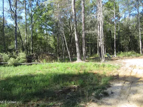 Hwy 43, Oak Vale, MS 39656 photo 3