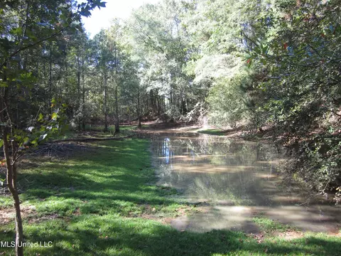 Hwy 43, Oak Vale, MS 39656 photo 5