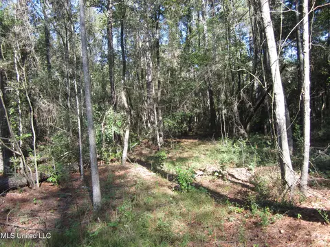 Hwy 43, Oak Vale, MS 39656 photo 6