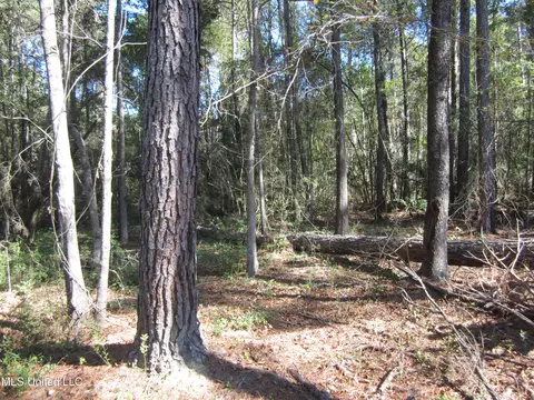 Hwy 43, Oak Vale, MS 39656 photo 7
