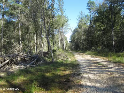 Hwy 43, Oak Vale, MS 39656 photo 2