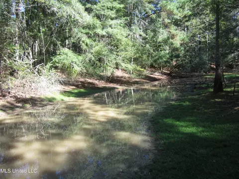Hwy 43, Oak Vale, MS 39656 photo 4