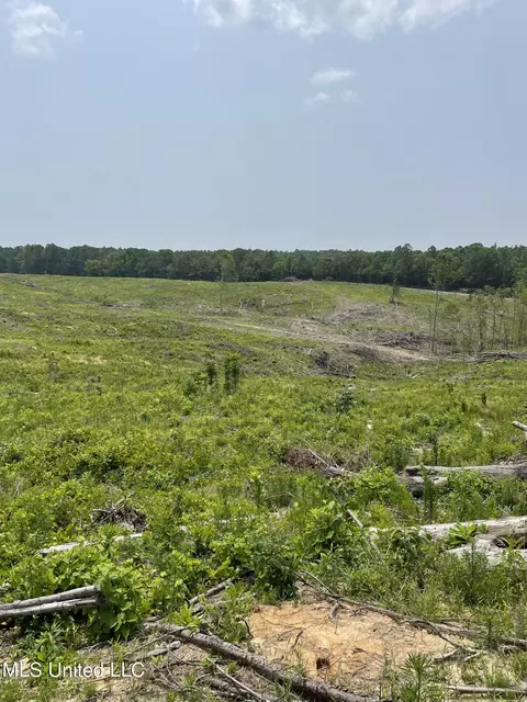 Hendrix/pine Grove Road, Coffeeville, MS 38922