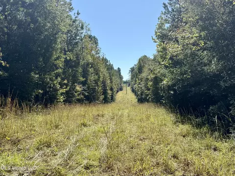 47 Mose Hilliard Rd, Sontag, MS 39665