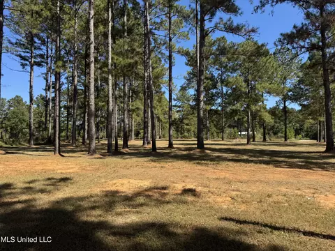 Exterior - 124 Ida Miller Rd, Lucedale, MS 39452 photo 6 of 6