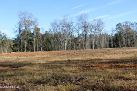 6 4 Acres Basin Central Rd, Lucedale, MS 39452 photo 4