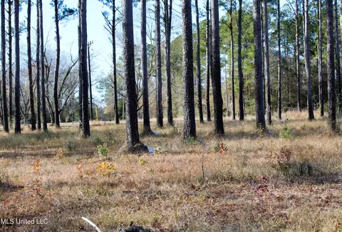 6 4 Acres Basin Central Rd, Lucedale, MS 39452 photo 7