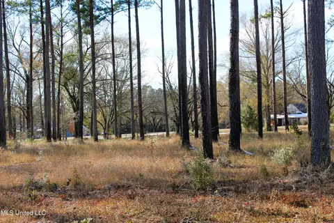 6 4 Acres Basin Central Rd, Lucedale, MS 39452 photo 6