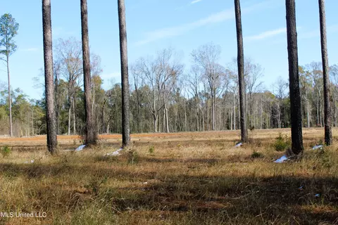 6 4 Acres Basin Central Rd, Lucedale, MS 39452 photo 3