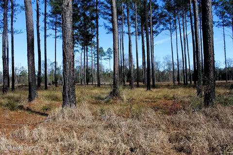 6 4 Acres Basin Central Rd, Lucedale, MS 39452
