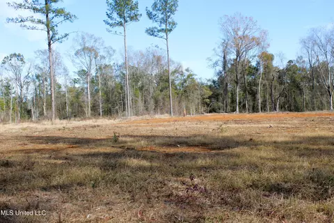 6 4 Acres Basin Central Rd, Lucedale, MS 39452 photo 5