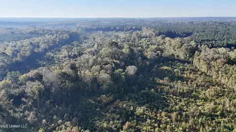 Hwy 15, Union, MS 39365