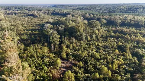 Hwy 15, Union, MS 39365 photo 15