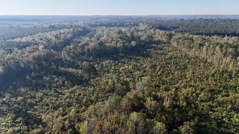 Hwy 15, Union, MS 39365 photo 12