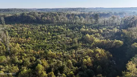 Hwy 15, Union, MS 39365 photo 3