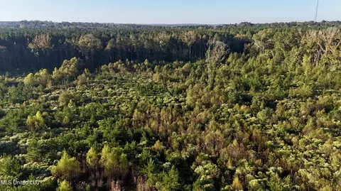 Hwy 15, Union, MS 39365 photo 6