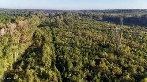 Hwy 15, Union, MS 39365 photo 2