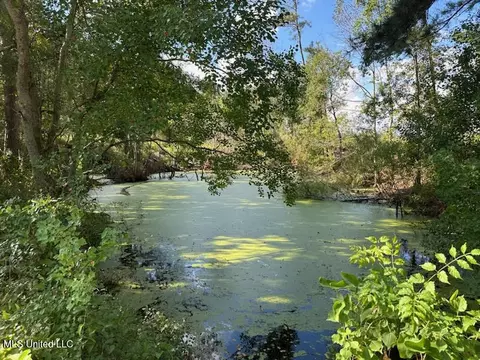 32 Acres Mol Garner Rd, Mount Olive, MS 39119
