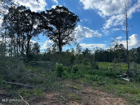 32 Acres Mol Garner Rd, Mount Olive, MS 39119 photo 7