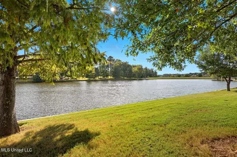 View/Area - 125 Memory Ln, Madison, MS 39110 photo 1 of 3