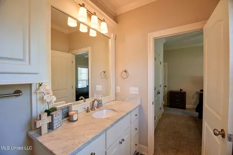 Bath - 249 Grayhawk Dr, Madison, MS 39110 photo 7 of 7