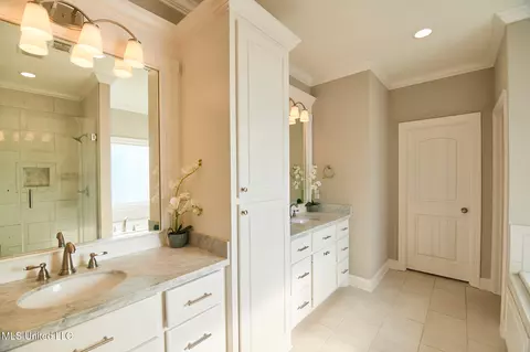 Bath - 249 Grayhawk Dr, Madison, MS 39110 photo 2 of 7
