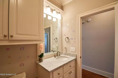 Bath - 249 Grayhawk Dr, Madison, MS 39110 photo 5 of 7