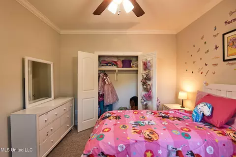 Other - 249 Grayhawk Dr, Madison, MS 39110 photo 9 of 13