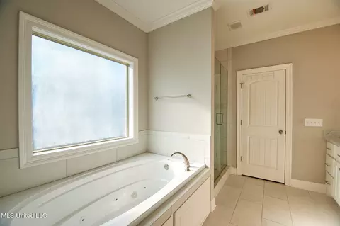 Bath - 249 Grayhawk Dr, Madison, MS 39110 photo 3 of 7