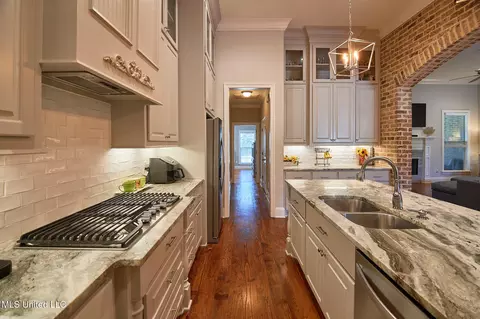 Entry Way - 249 Grayhawk Dr, Madison, MS 39110 photo 3 of 4