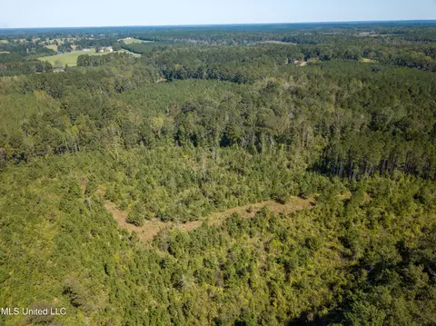 Pine Bluff Road, Decatur, MS 39327 photo 19