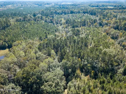 Pine Bluff Road, Decatur, MS 39327 photo 6