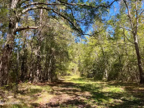 Pine Bluff Road, Decatur, MS 39327 photo 27