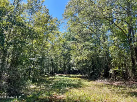 Pine Bluff Road, Decatur, MS 39327 photo 8