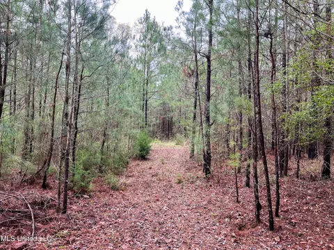 Pine Bluff Road, Decatur, MS 39327 photo 39
