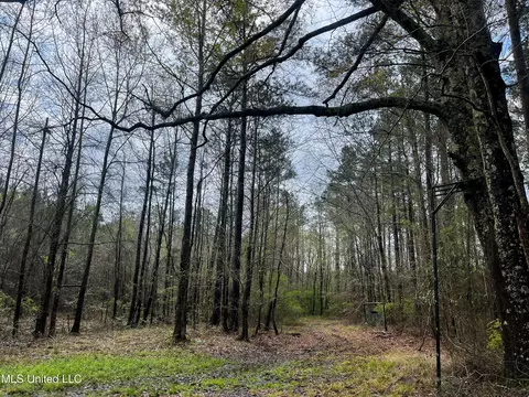 Pine Bluff Road, Decatur, MS 39327 photo 36