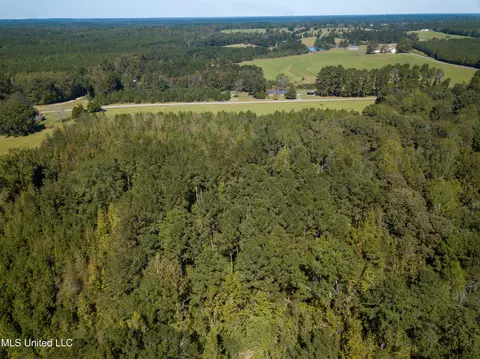 Pine Bluff Road, Decatur, MS 39327 photo 21