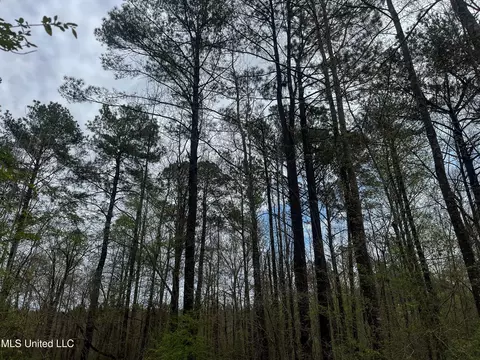 Pine Bluff Road, Decatur, MS 39327 photo 37