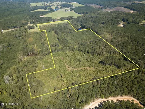 Pine Bluff Road, Decatur, MS 39327 photo 11