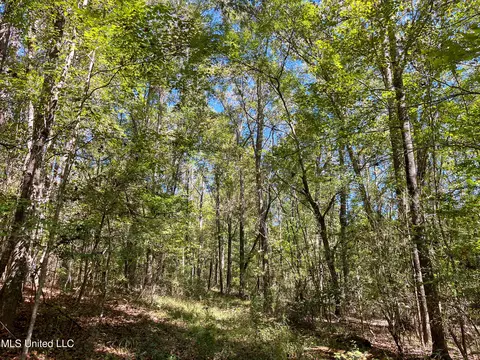 Pine Bluff Road, Decatur, MS 39327 photo 24