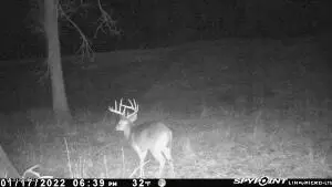 Pine Bluff Road, Decatur, MS 39327 photo 14