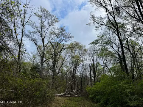 Pine Bluff Road, Decatur, MS 39327 photo 33